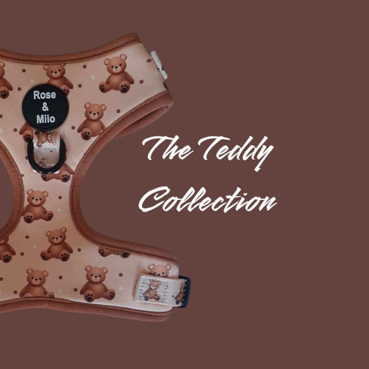 🐾 Snuggle Up with Our Teddy Collection: Where Comfort Meets Style