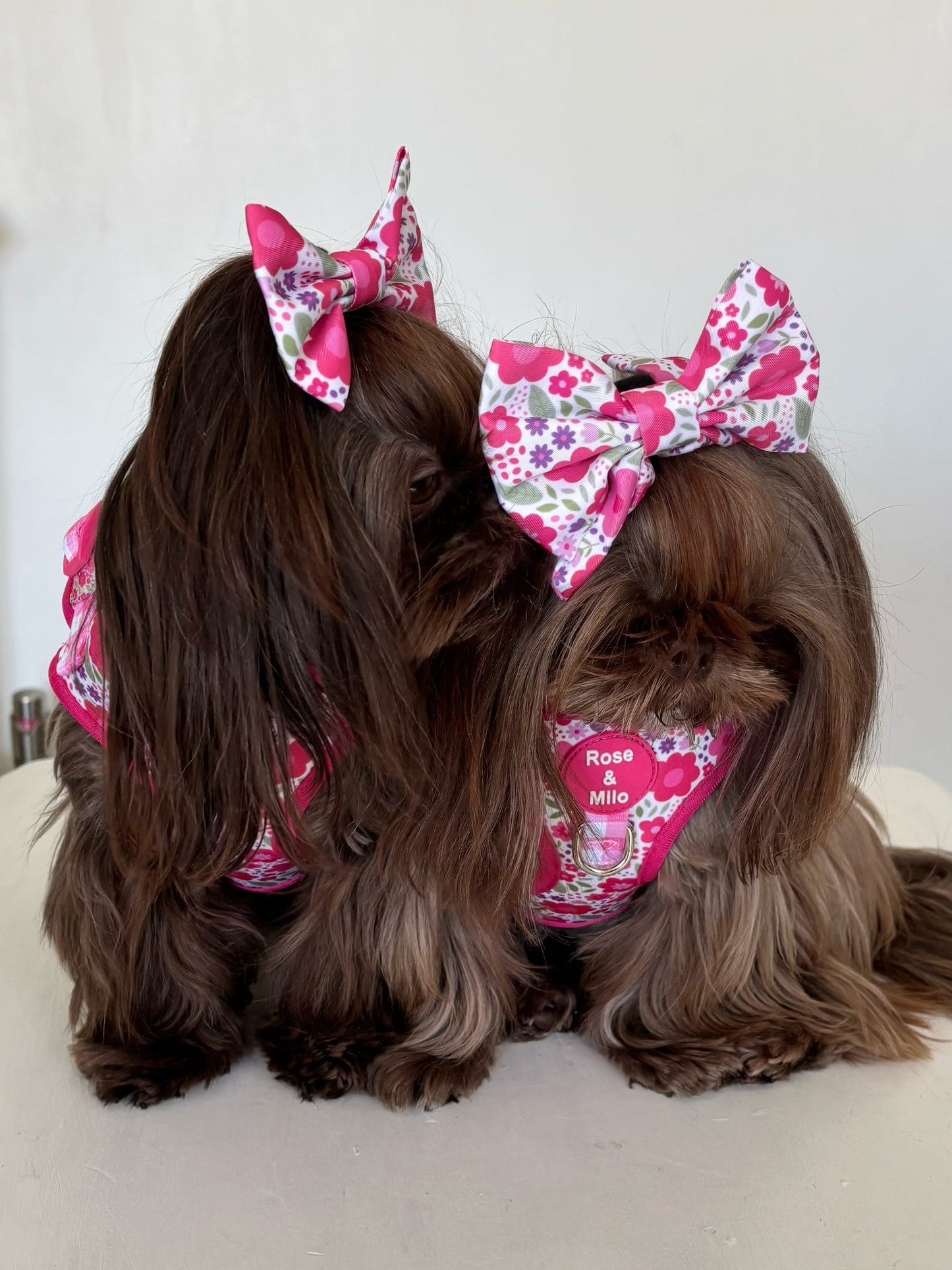 Pink Blooms Bow Tie Small & Large