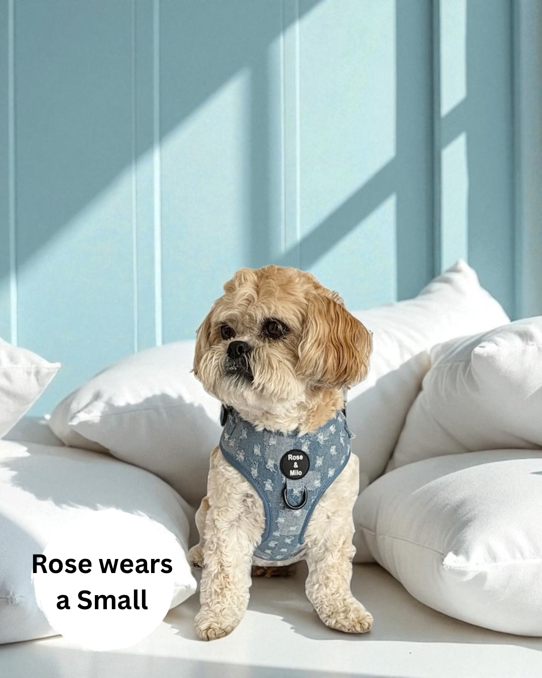 Doggy Denim Adjustable Dog Harness