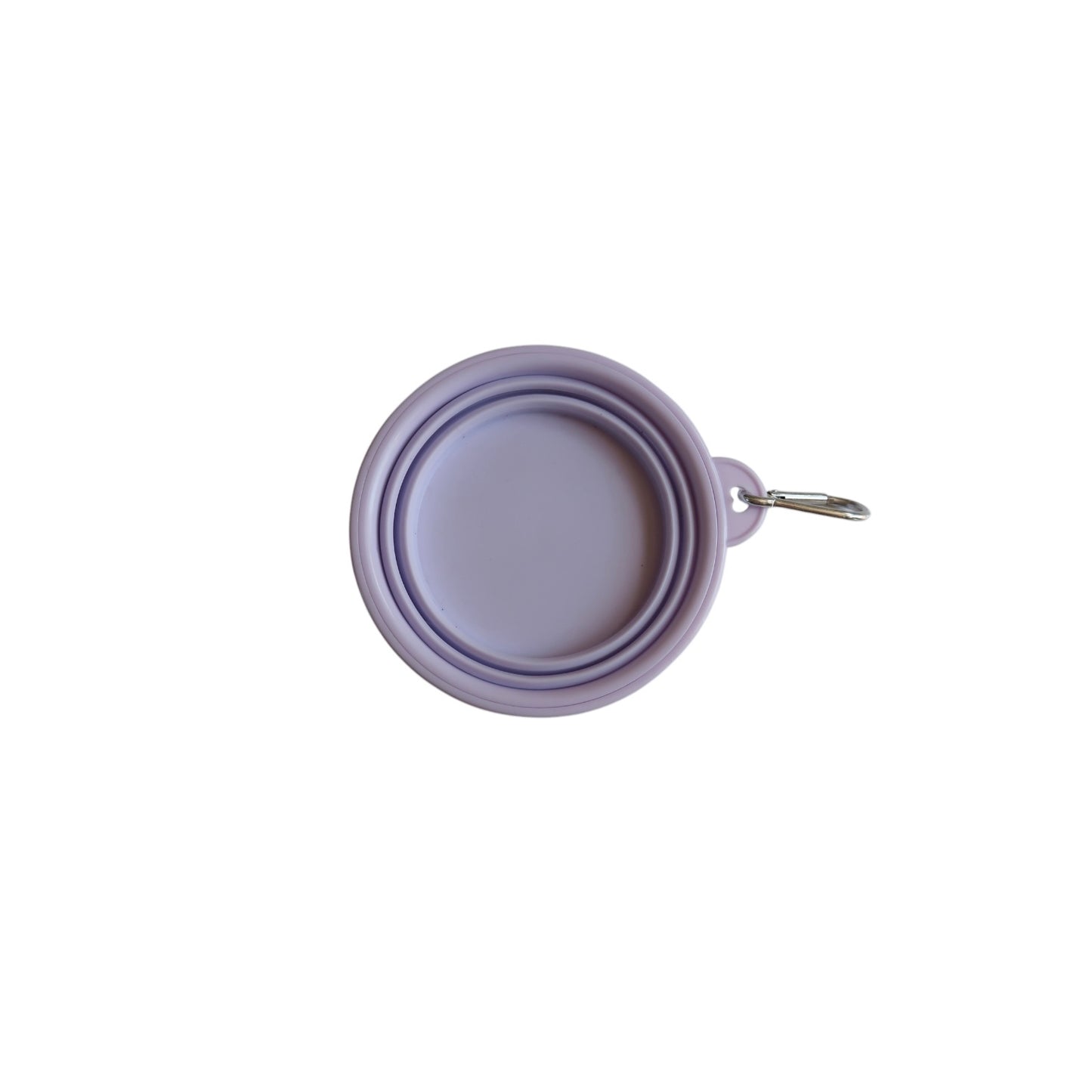 Dog Travel Collapsible Bowl