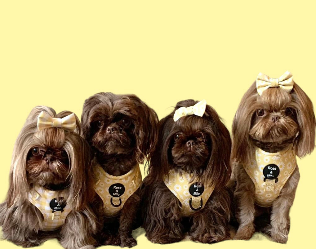 XXS Adjustable Harness Toy Breeds/Puppy