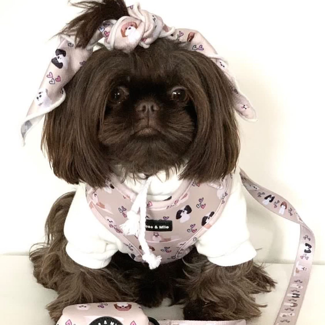 XXS Adjustable Harness Toy Breeds/Puppy £7.00