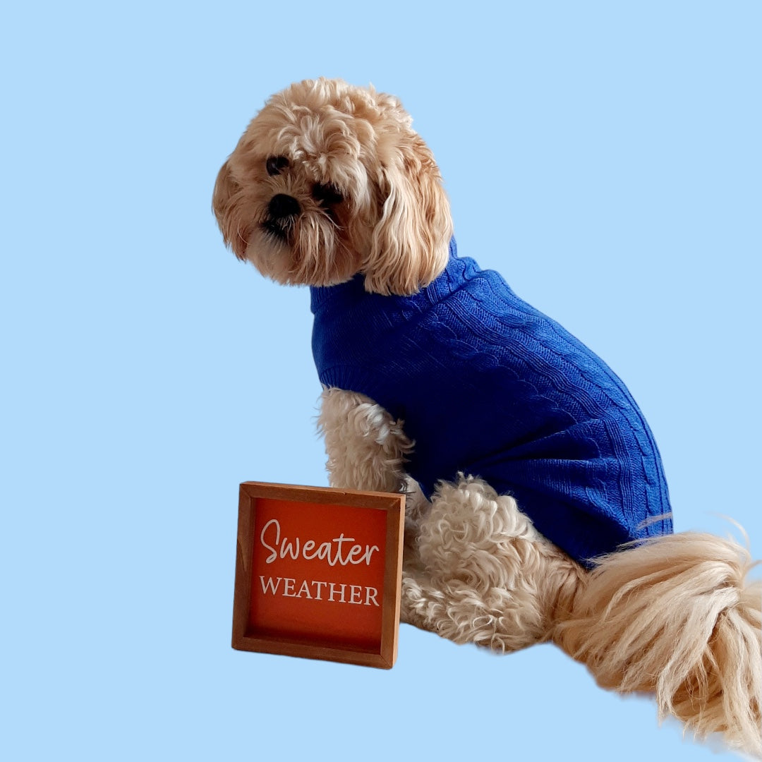 Fine Knit Cable Dog Jumper Bright Blue