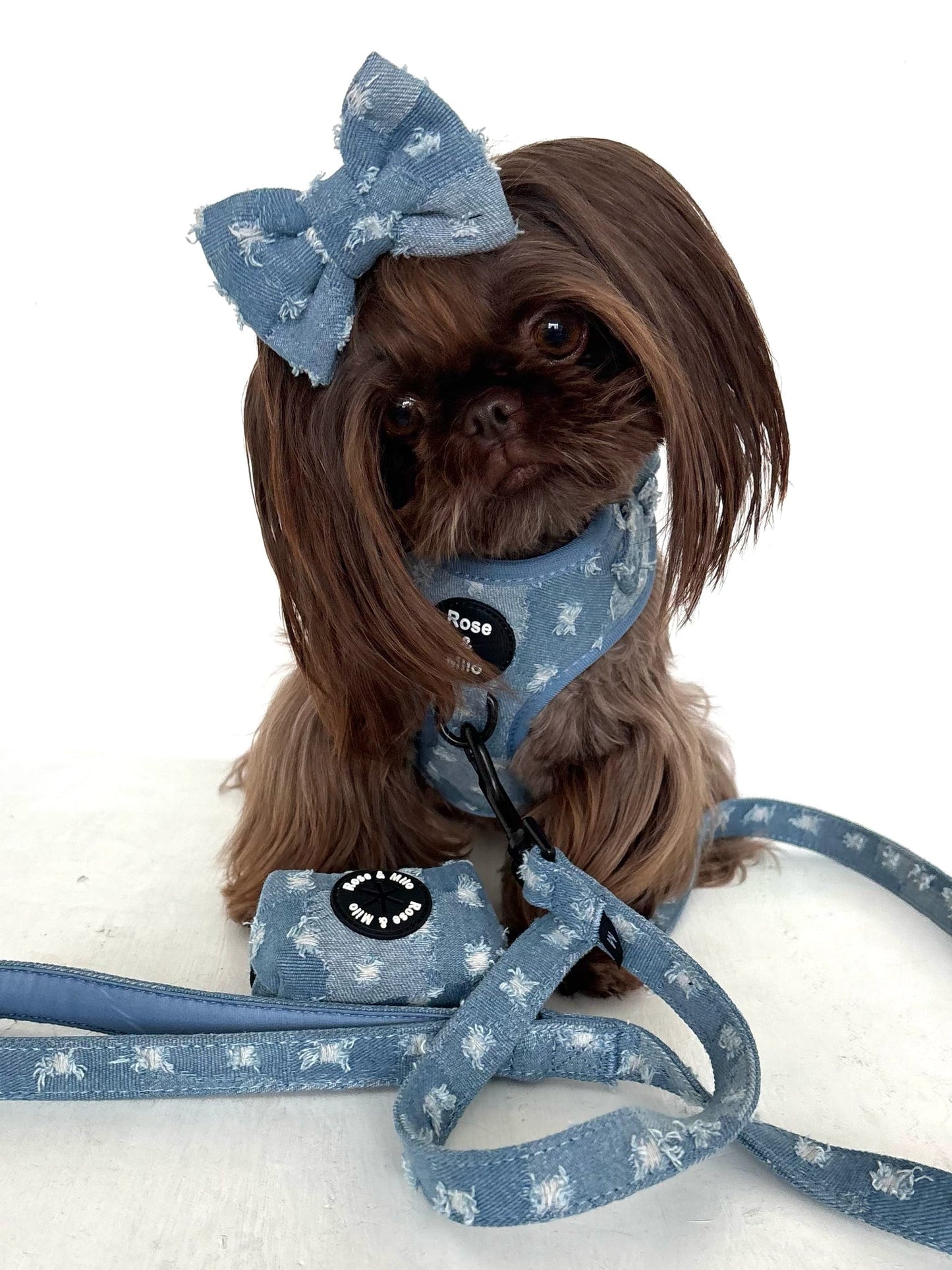 Doggy Denim 5ft Lead