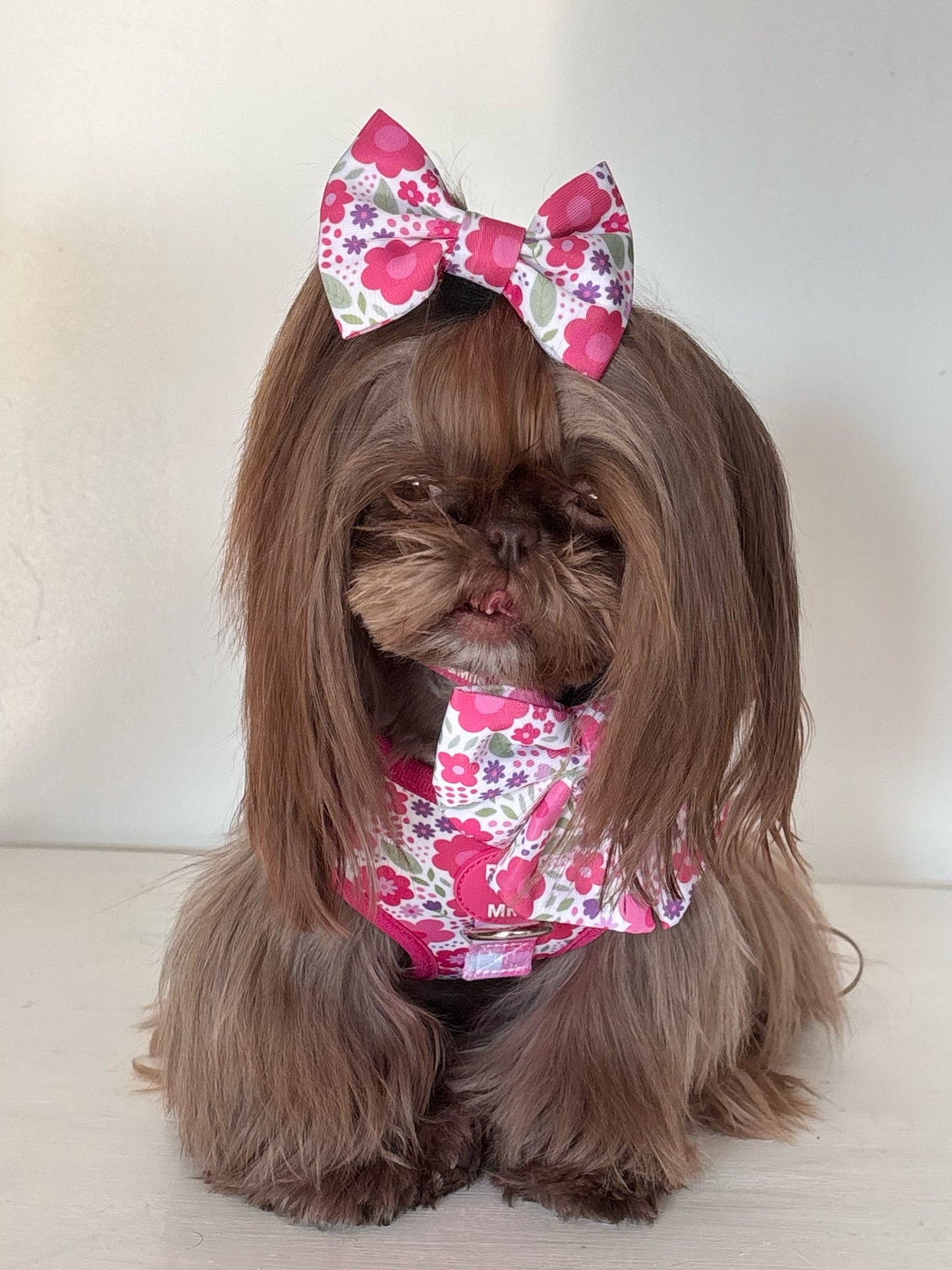 Pink Blooms Adjustable Dog Harness