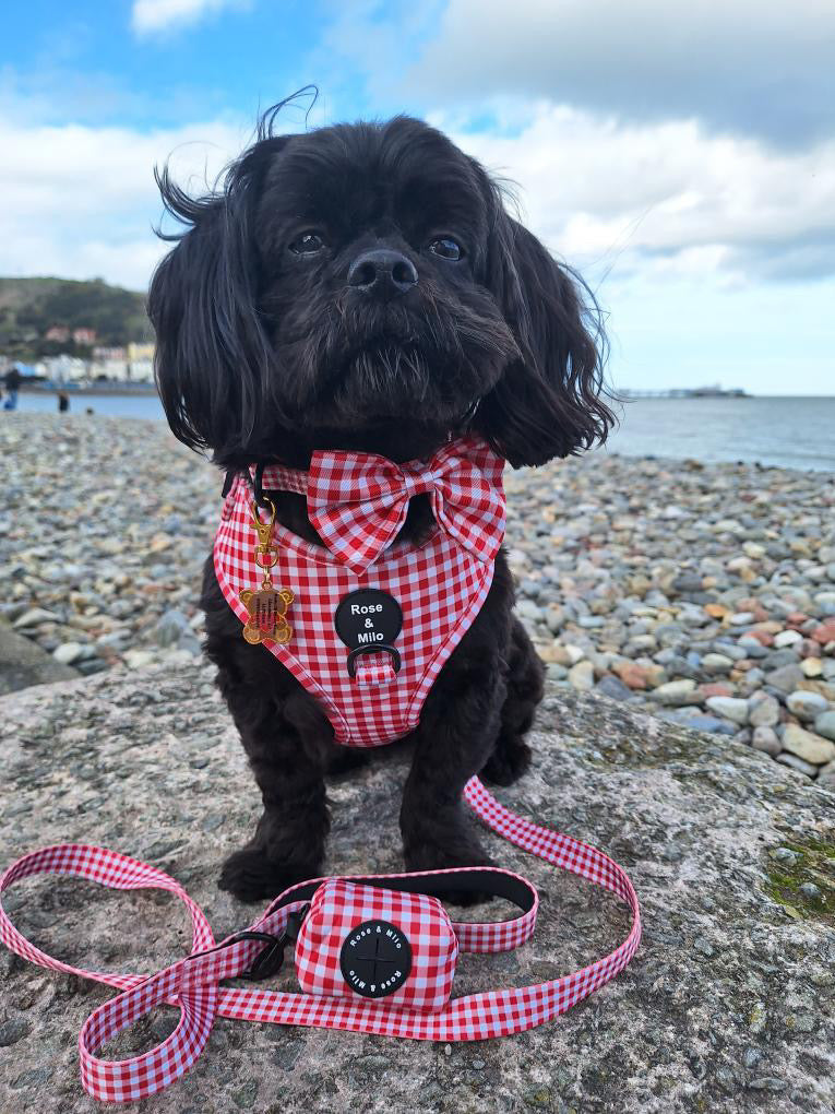 Red Gingham Adjustable Harness