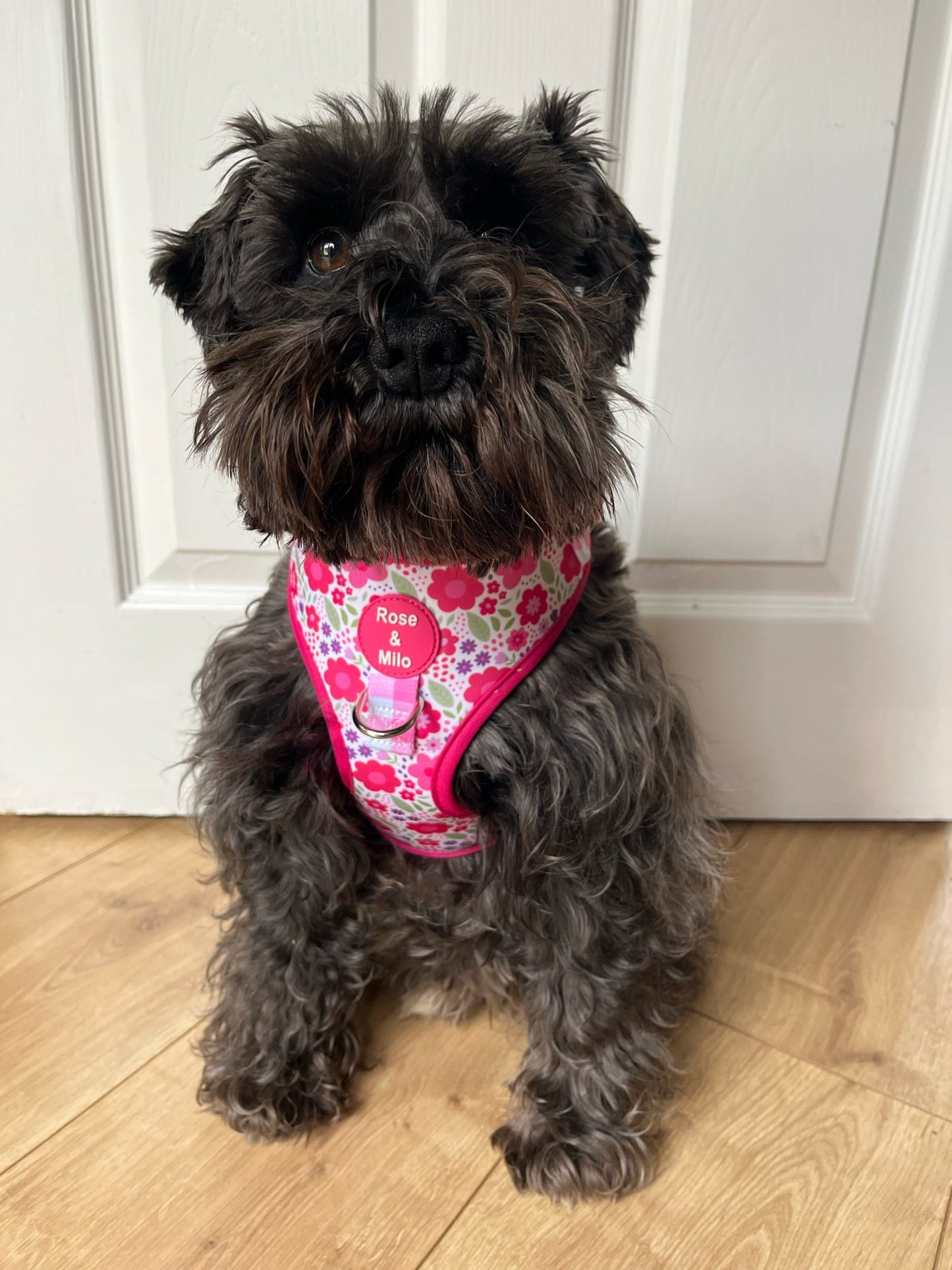 Pink Blooms Adjustable Dog Harness