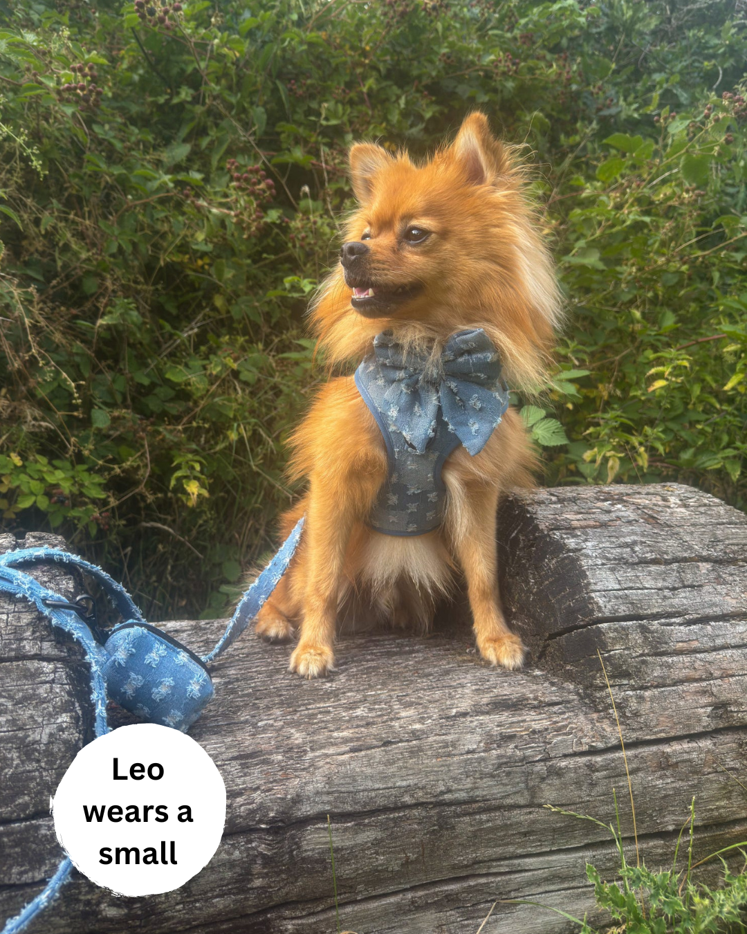 Doggy Denim Adjustable Dog Harness