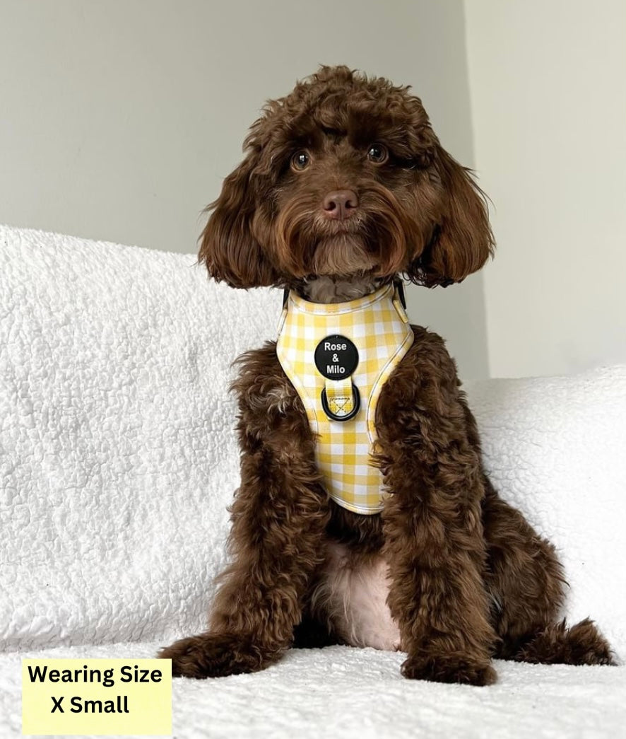 Lemon Check Adjustable Harness