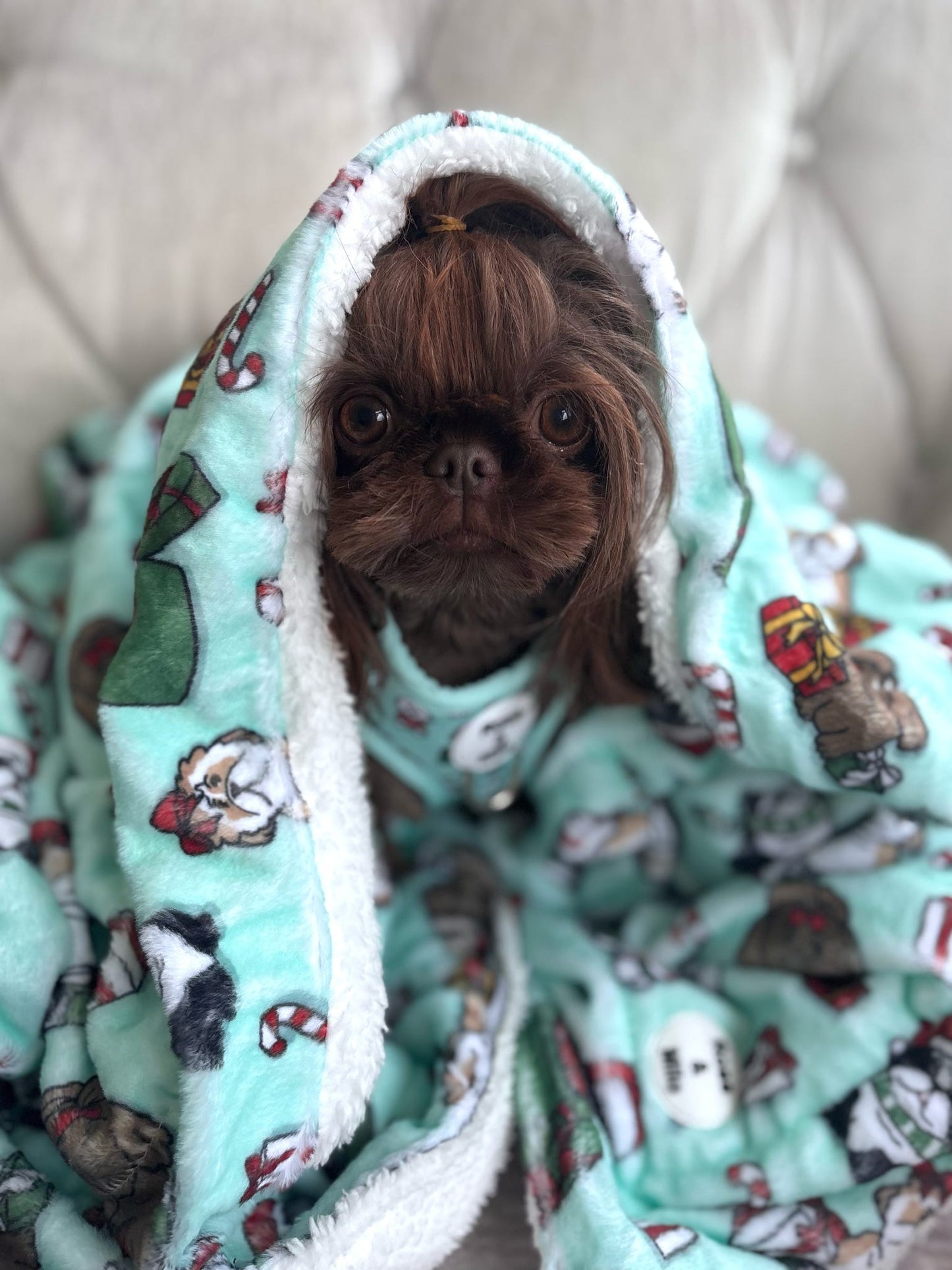 It’s Shihmass Huge Snuggle Dog Blanket