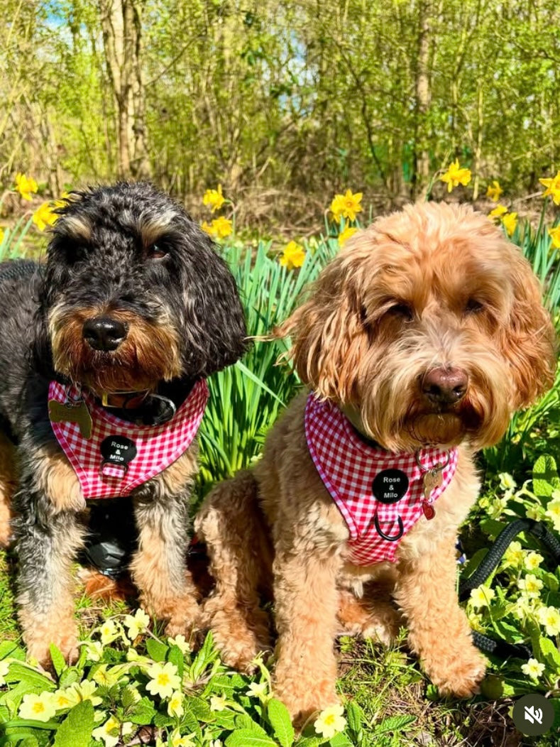 Red Gingham Adjustable Harness