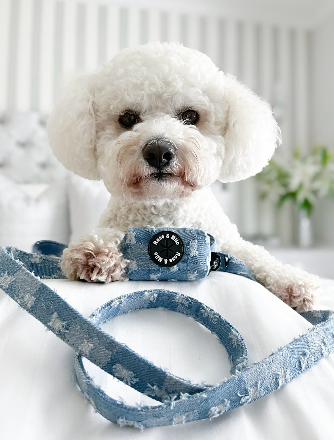 Doggy Denim Poop Bag Holder