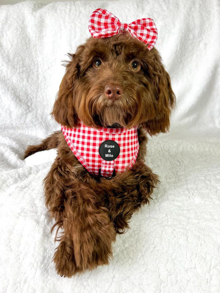 Red Gingham Adjustable Harness