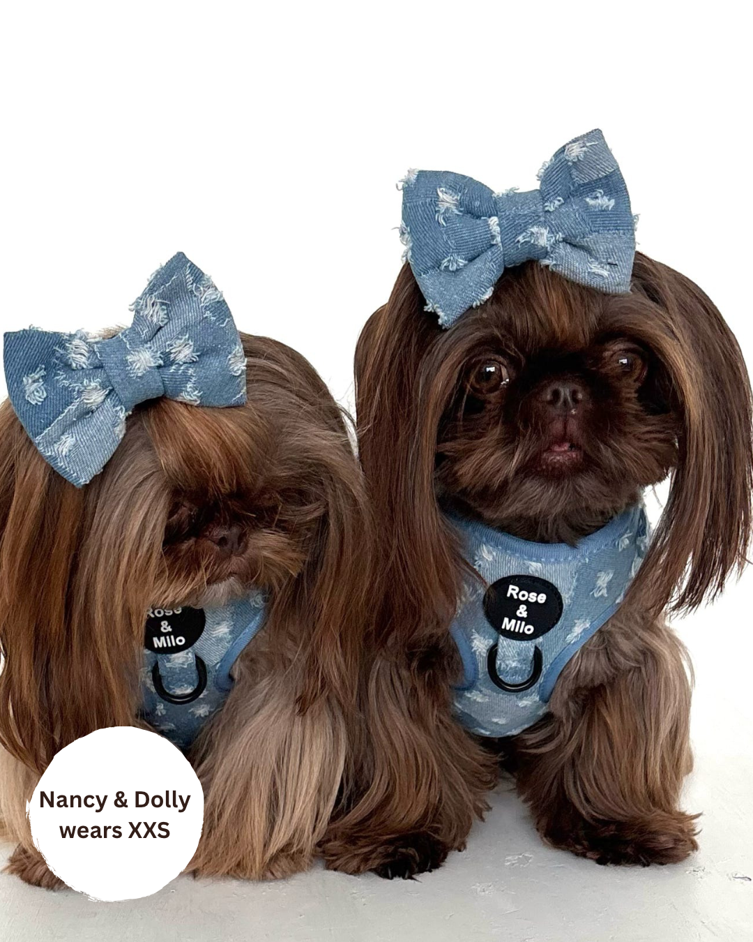 Doggy Denim Adjustable Dog Harness