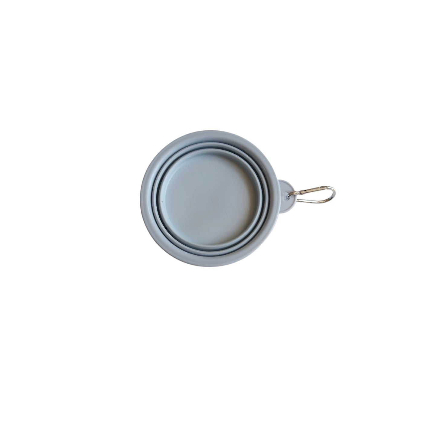 Dog Travel Collapsible Bowl
