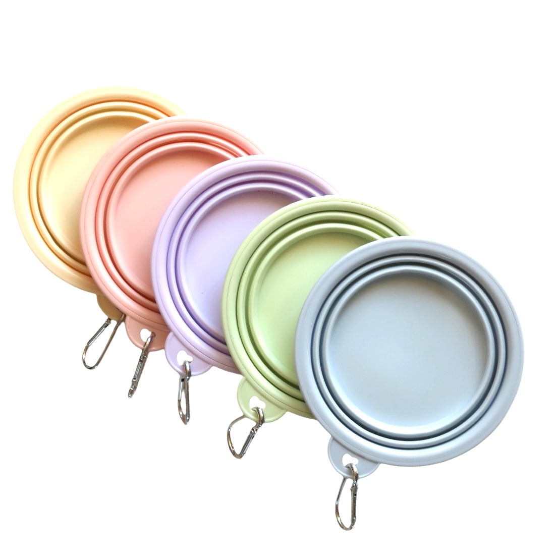 Dog Travel Collapsible Bowl