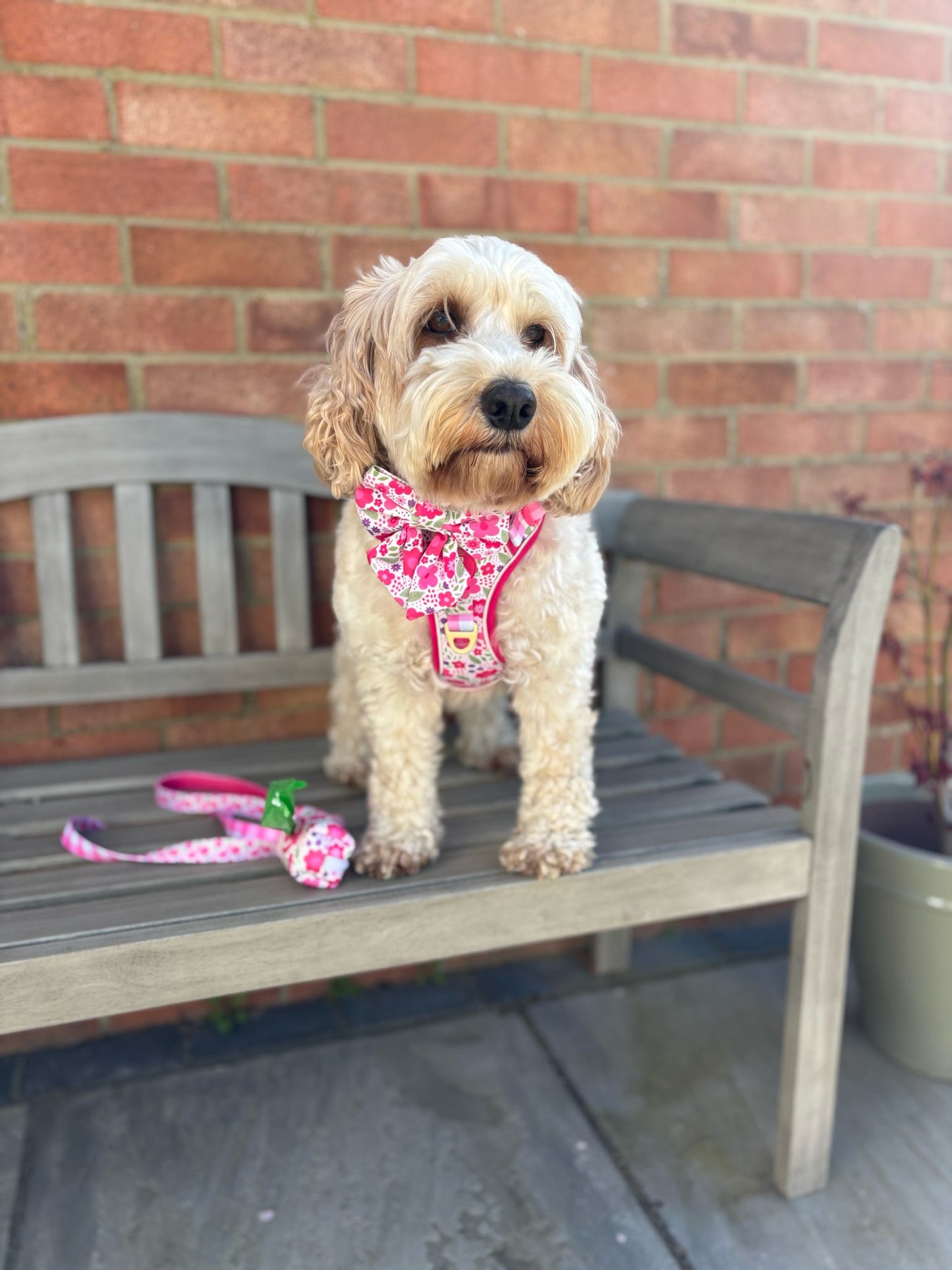 Pink Blooms Adjustable Walk & Go Harness