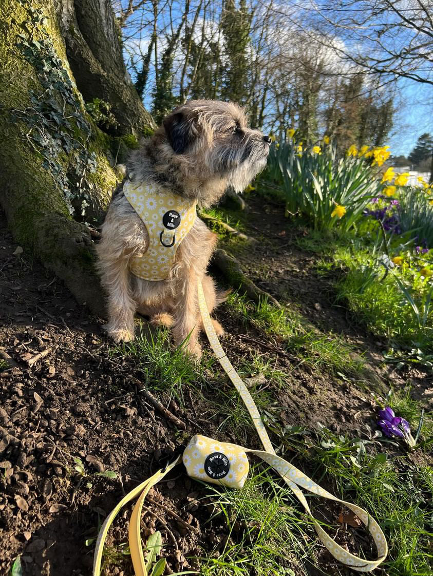 Lemon Daisy Poop Bag Holder