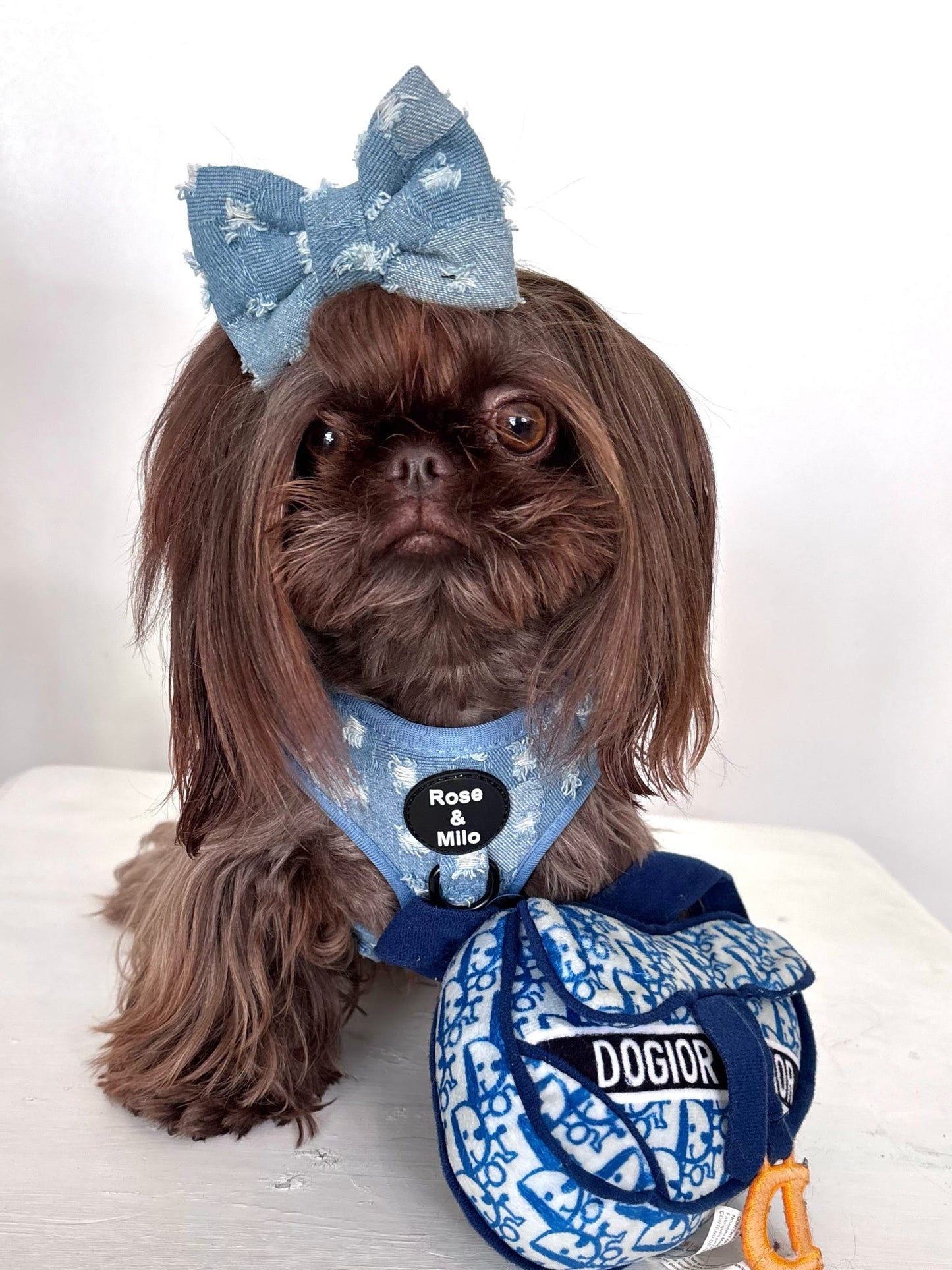 Doggy Denim Adjustable Dog Harness