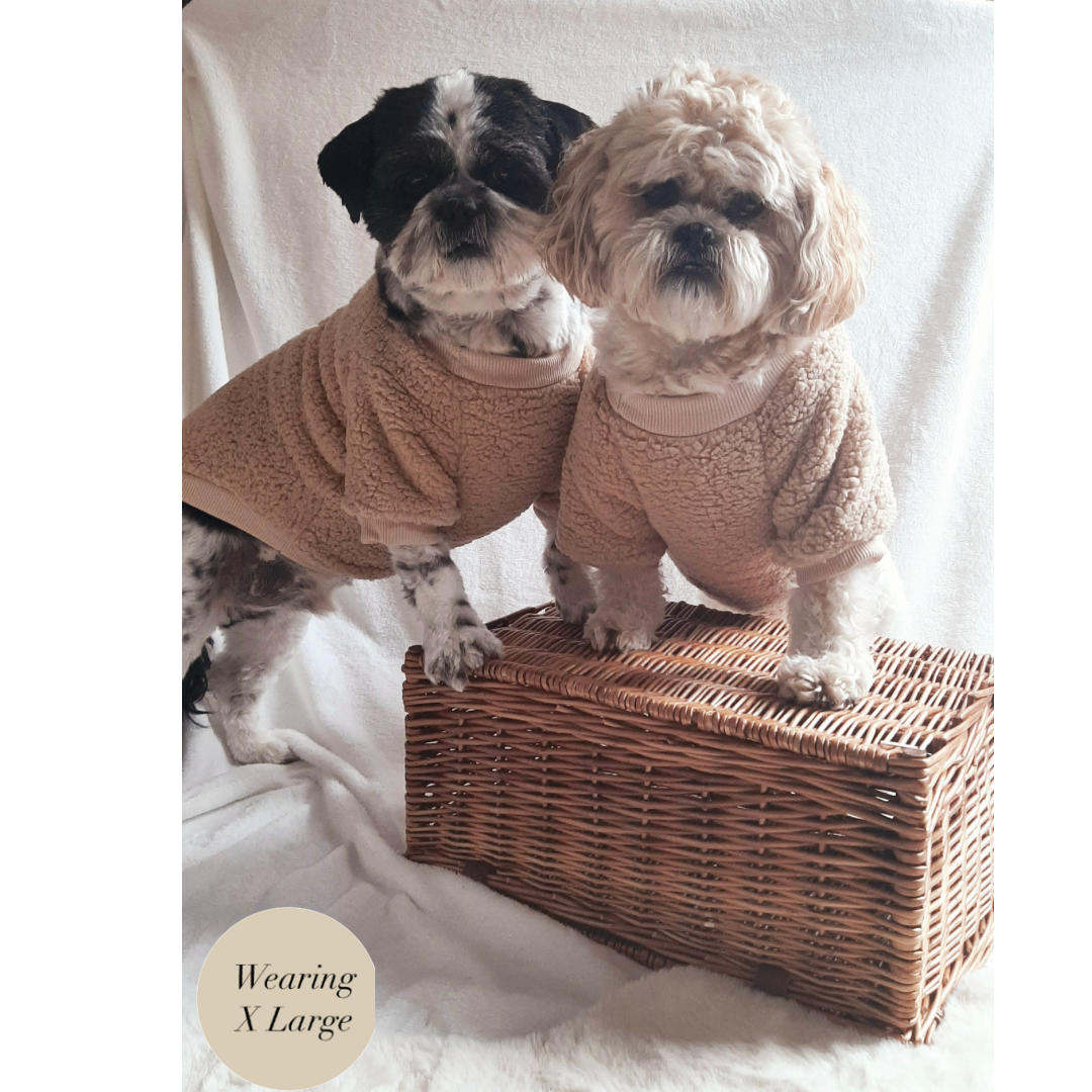 Teddy Bear Dog Jumper