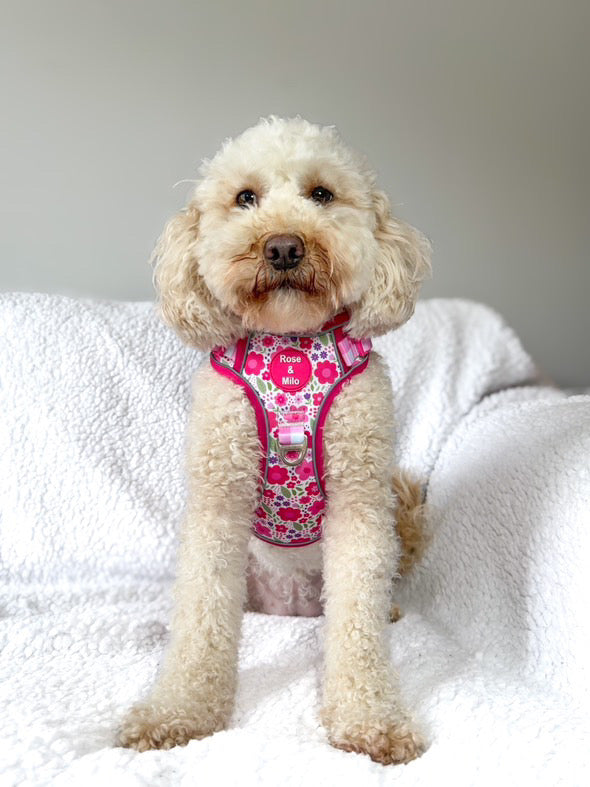 Pink Blooms Adjustable Walk & Go Harness