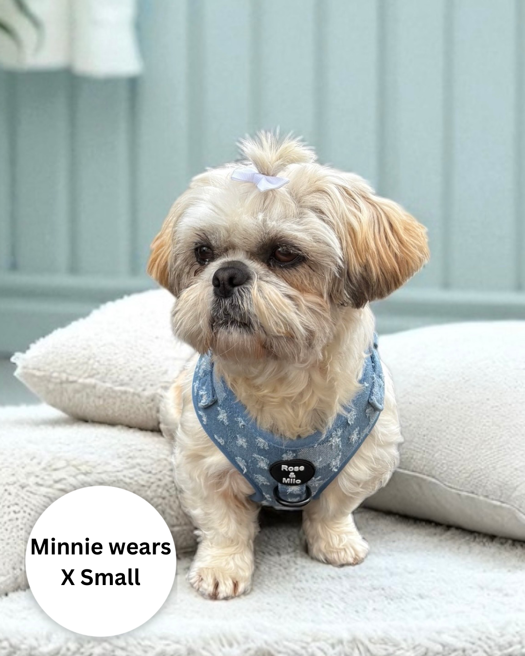 Doggy Denim Adjustable Dog Harness