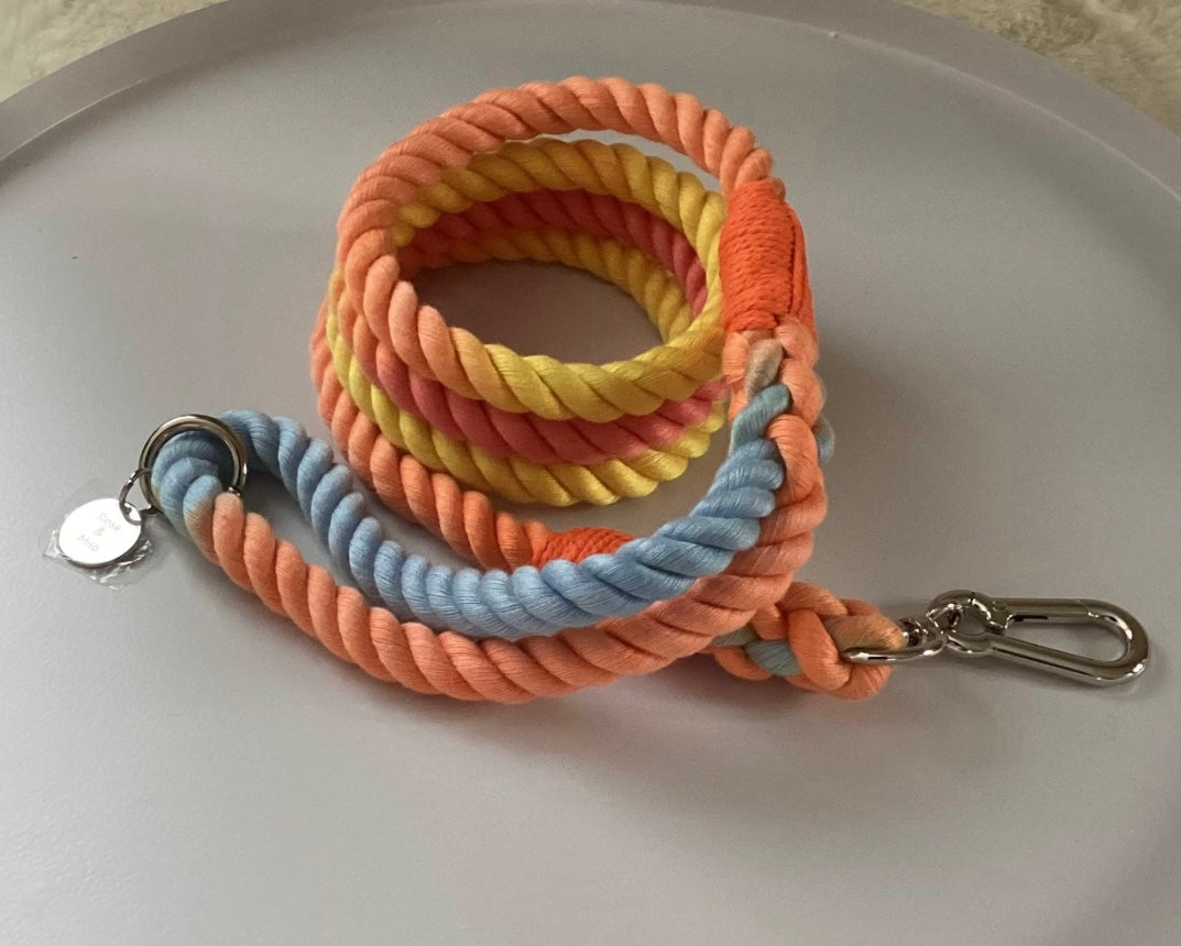 Rope Lead Sunburst 4ft