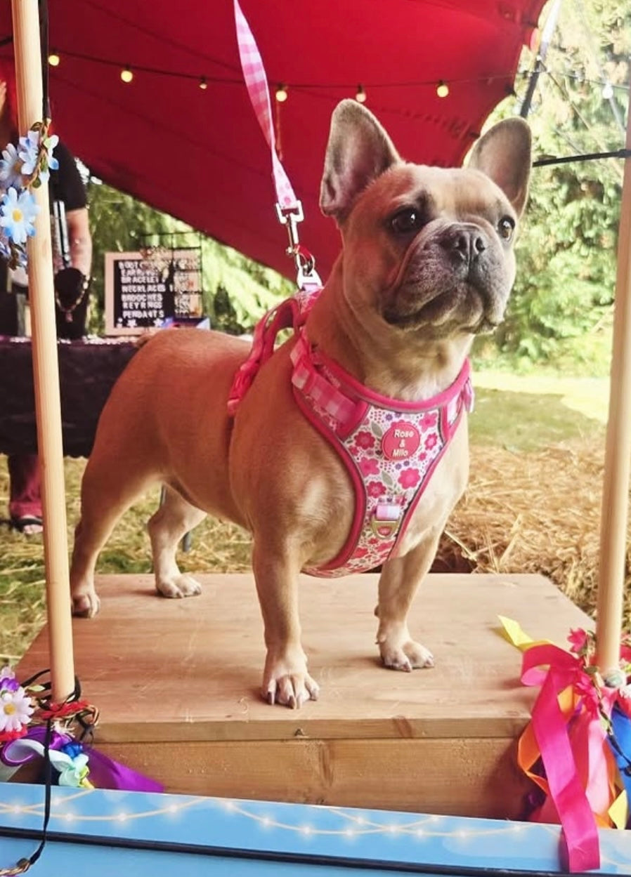 Pink Blooms Step-In Adjustable Walk & Go Harness