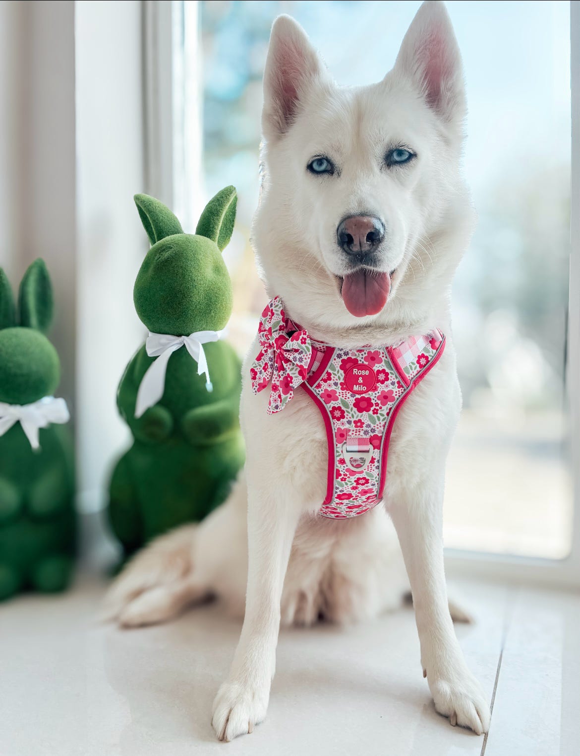 Pink Blooms Adjustable Walk & Go Harness