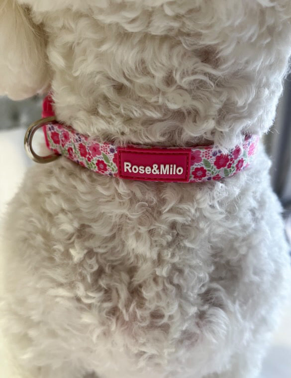 Pink Blooms Adjustable Dog Collar