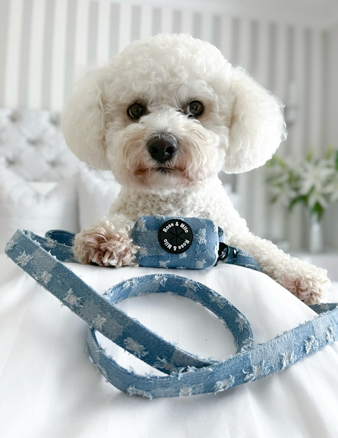 Doggy Denim 5ft Lead