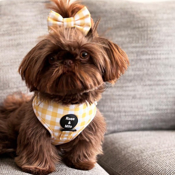 Lemon Check TOP KNOT Dog Hair Bow