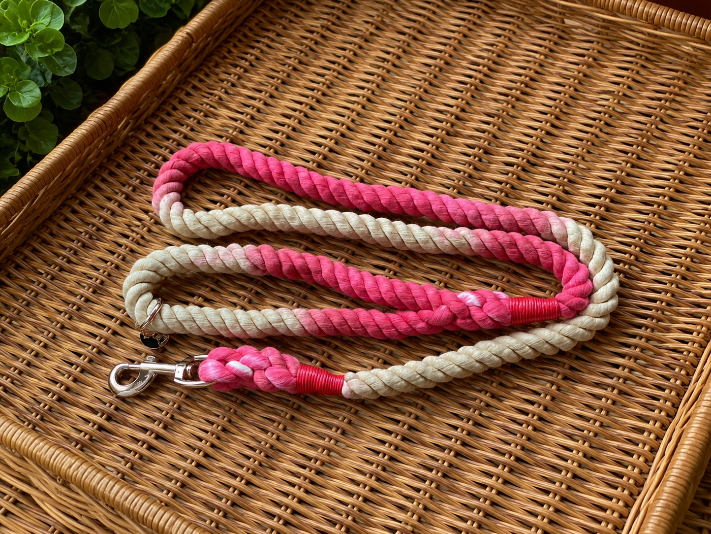 Soft Cotton Rope Lead 5ft Ombre Coral & Sand