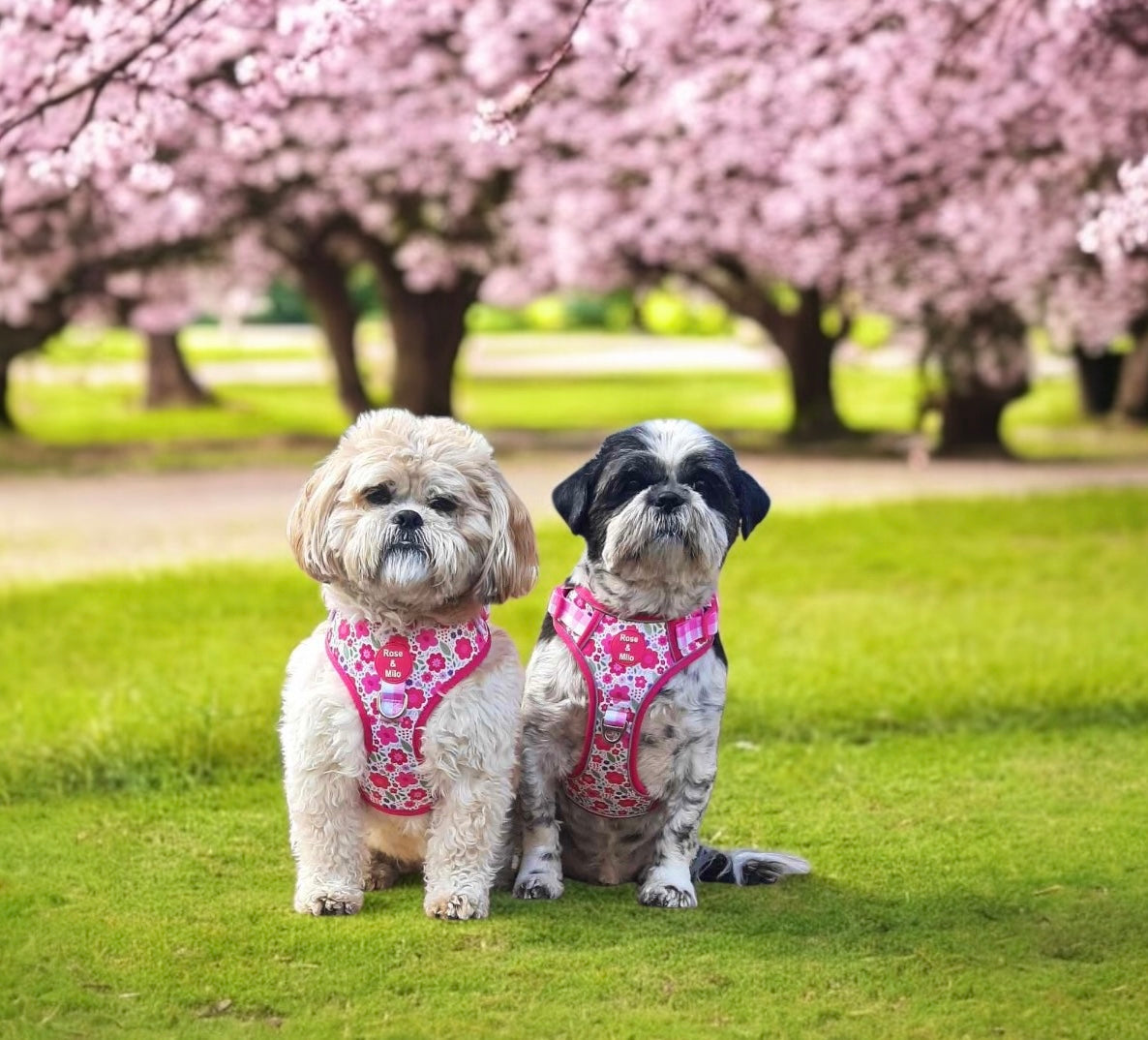 Pink Blooms Adjustable Dog Harness