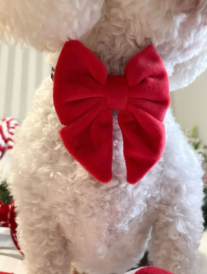 Velvet Sailor Dog Bow Tie Red & Green