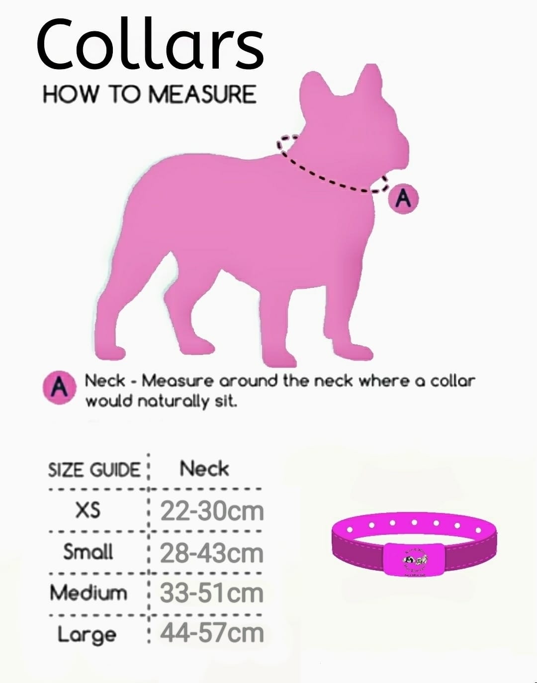 I Shih Tzu Not Collar