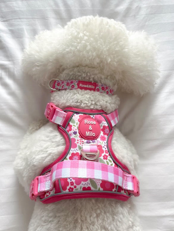 Pink Blooms Adjustable Walk & Go Harness