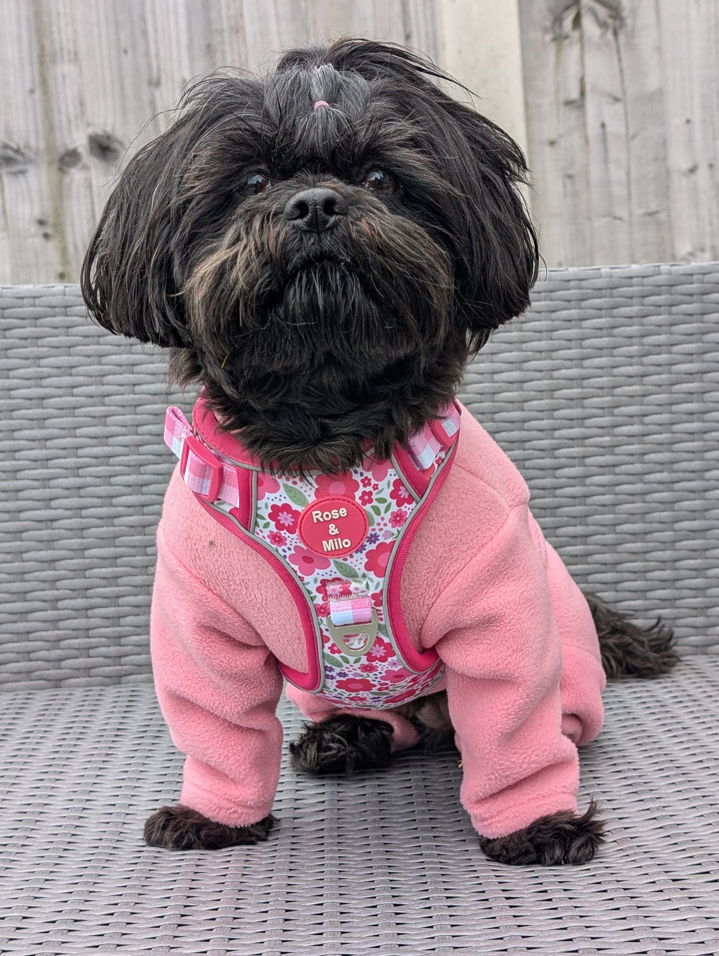 Pink Blooms Adjustable Walk & Go Harness