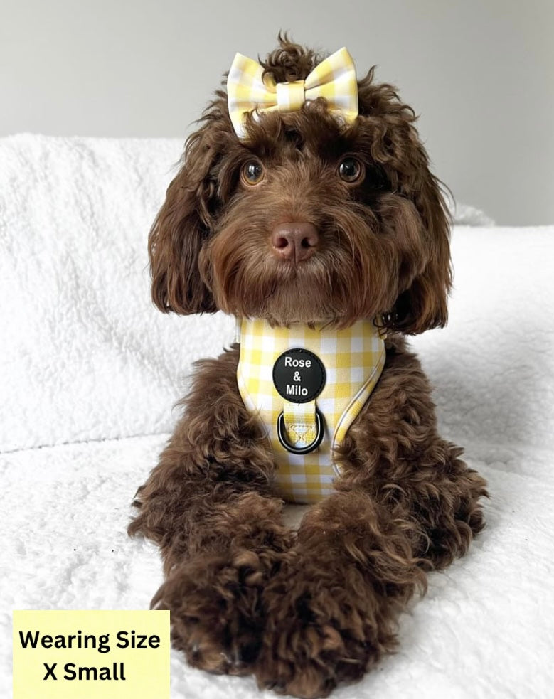 Lemon Check Adjustable Harness