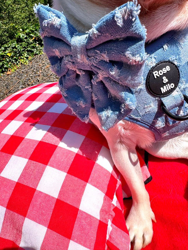 Doggy Denim Sailor Bow Tie
