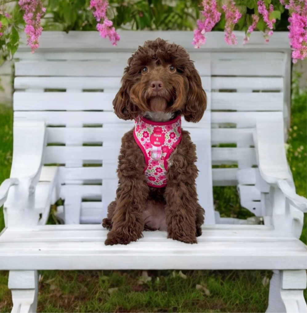 Pink Blooms Adjustable Dog Harness