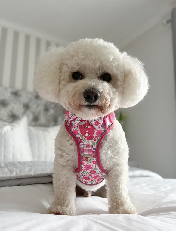 Pink Blooms Adjustable Walk & Go Harness