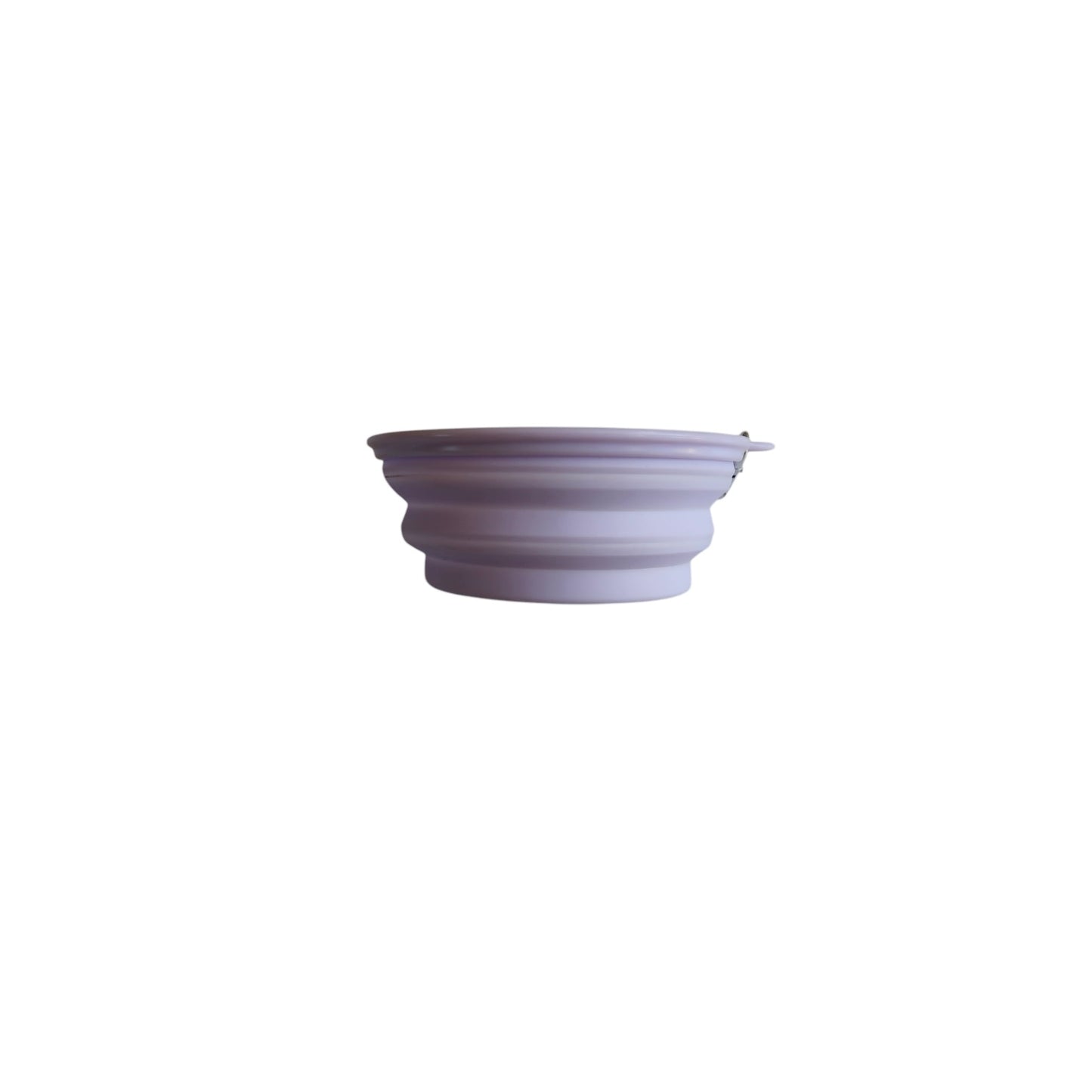 Dog Travel Collapsible Bowl