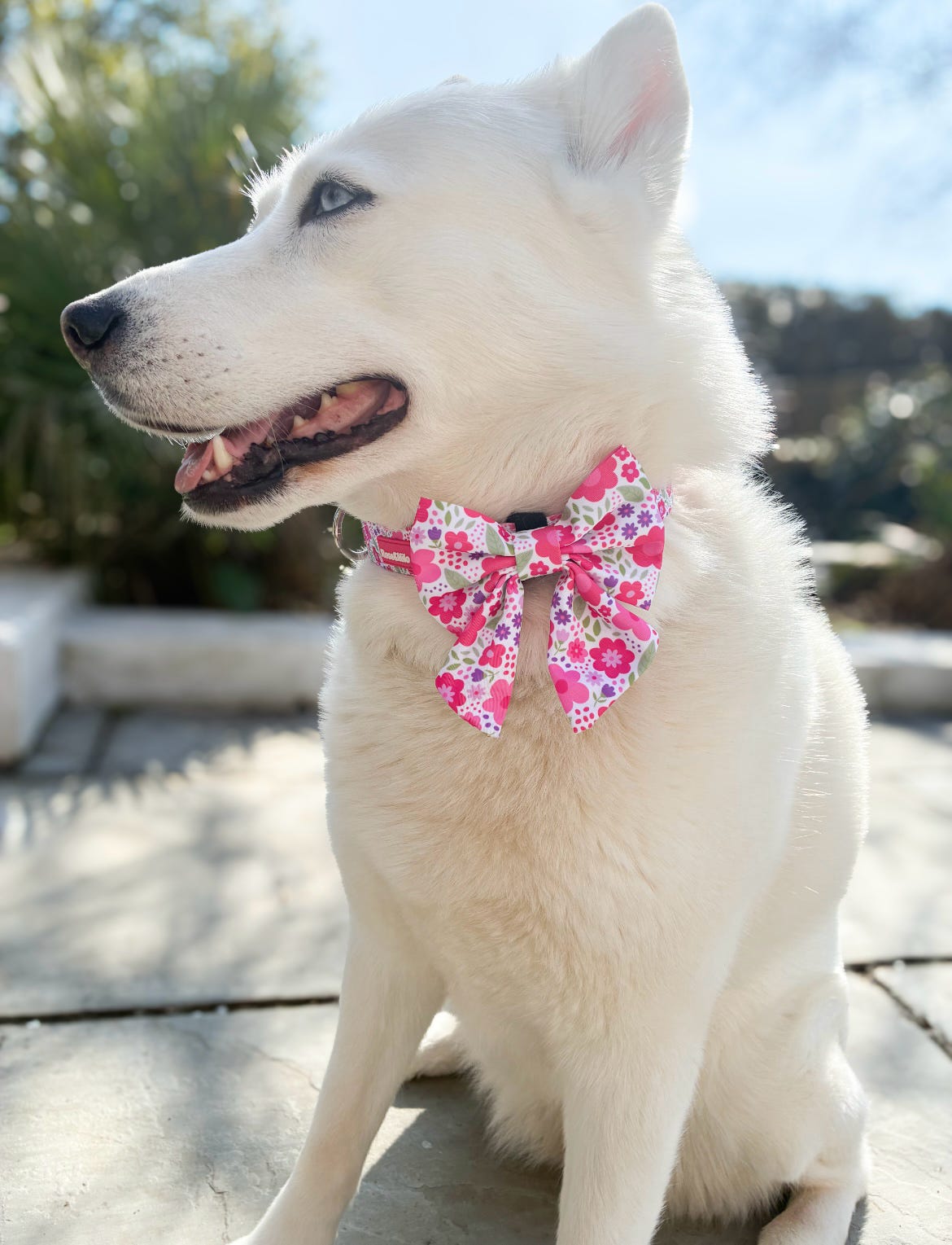 Pink Blooms Sailor Bow Tie