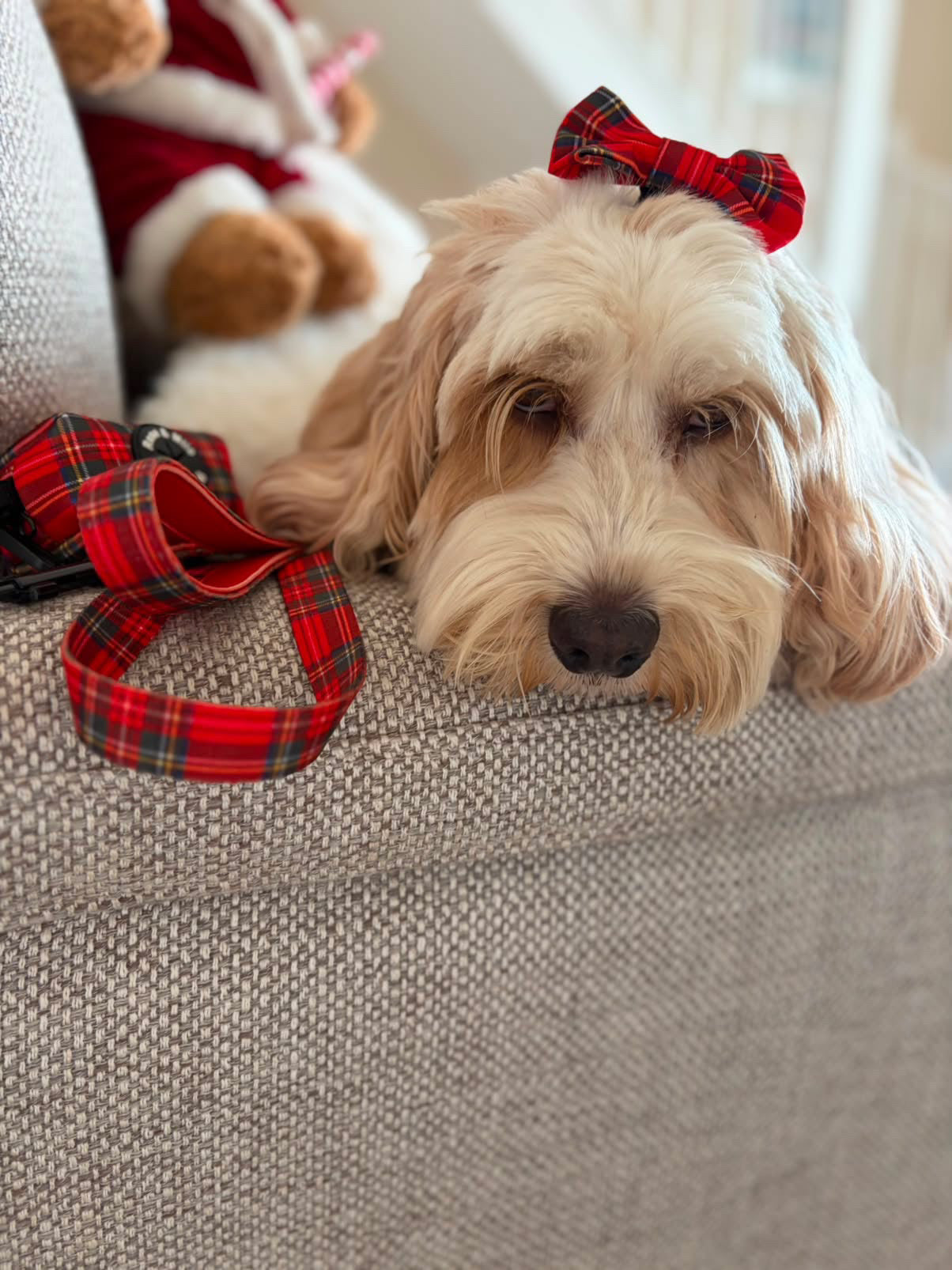 Red Tartan Bow Tie Small & Large