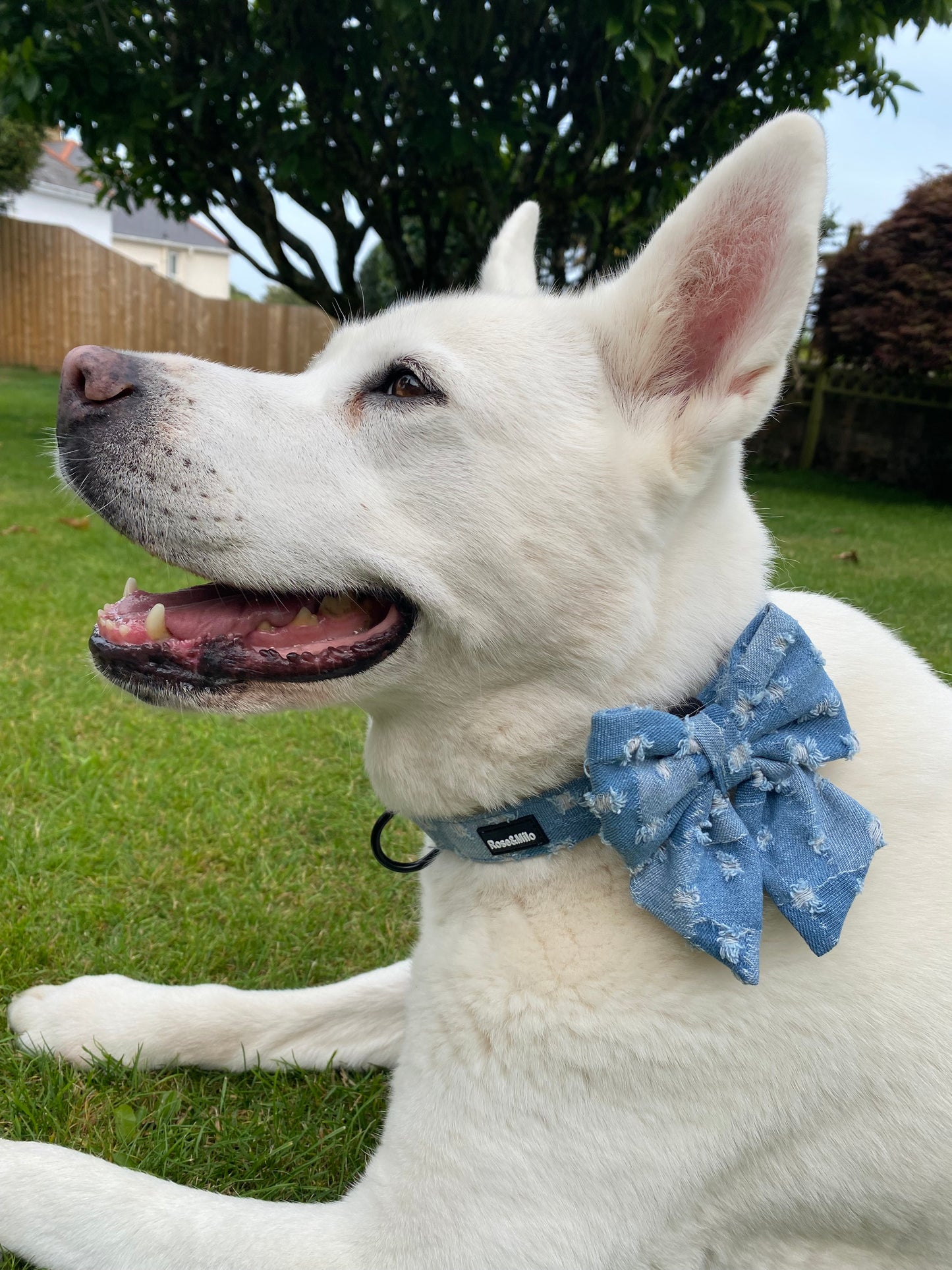 Doggy Denim Sailor Bow Tie