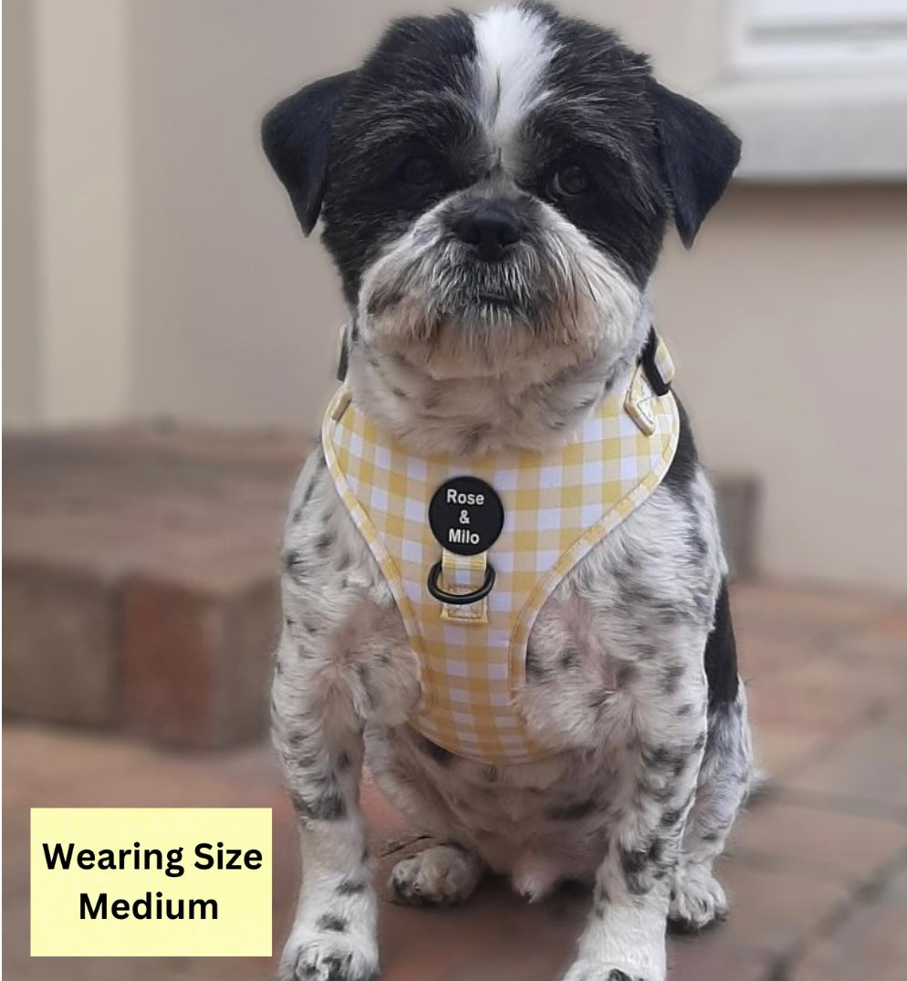 Lemon Check Adjustable Harness