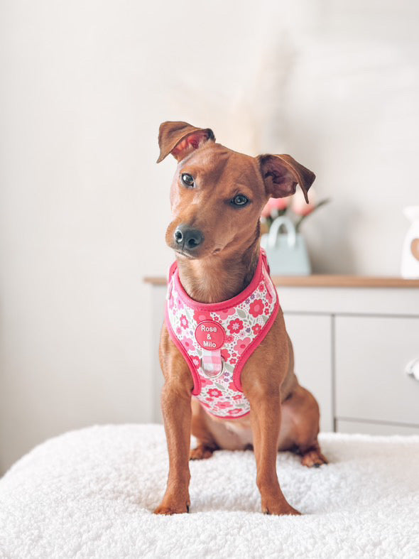 Pink Blooms Adjustable Dog Harness