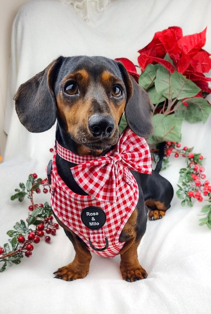 Red Gingham Adjustable Harness