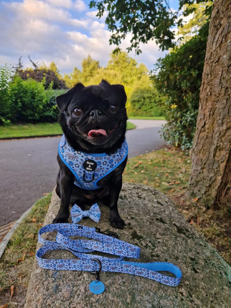 I’m a Mama’s Boy Adjustable Harness